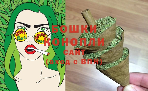 спиды Новозыбков