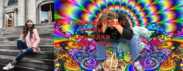 спиды Няндома