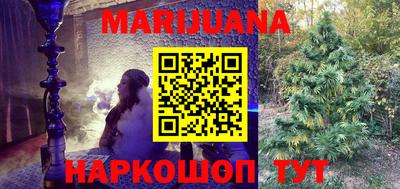 прущие крисы Гатчина