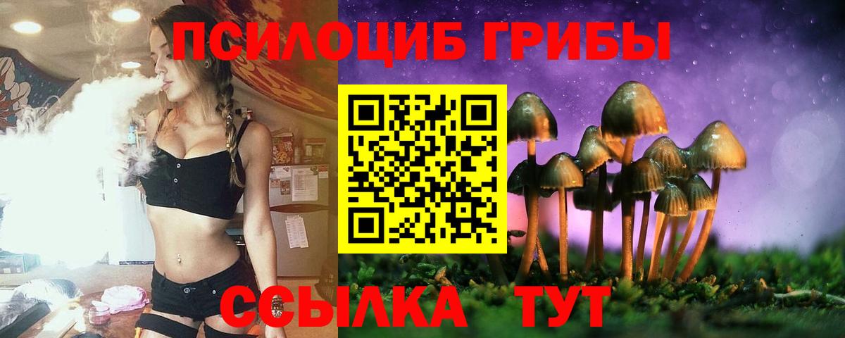 Псилоцибиновые грибы Cubensis Заволжье
