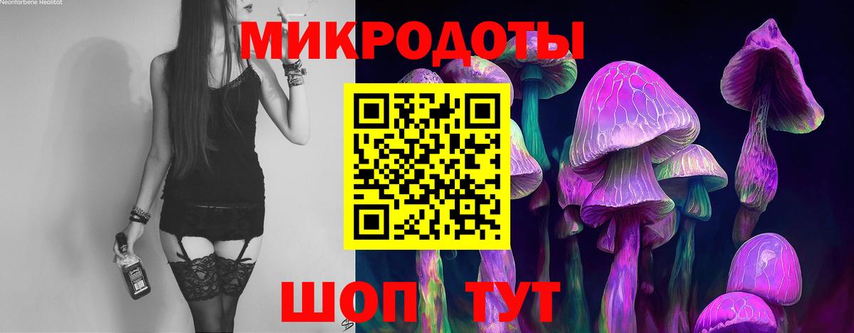 Псилоцибиновые грибы Cubensis Заволжье